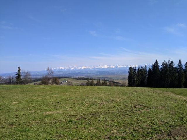 Działka rolna Pyzówka. Zdjęcie 1