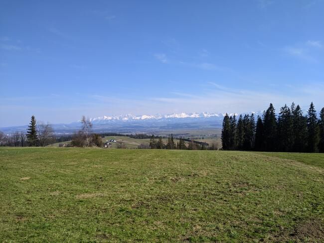 Działka rolna Pyzówka