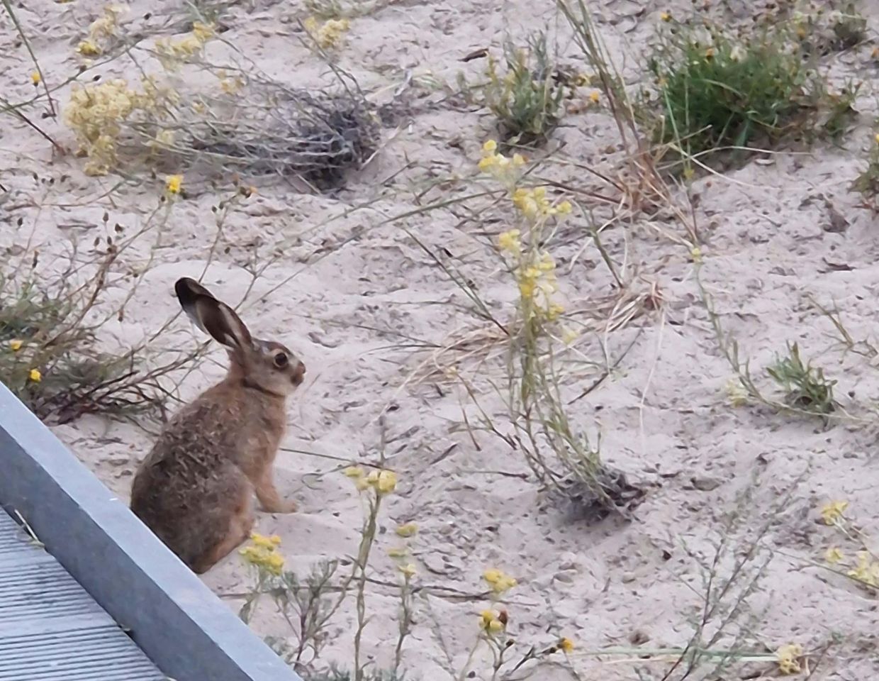 Działka rolna Pobłocie. Zdjęcie 10