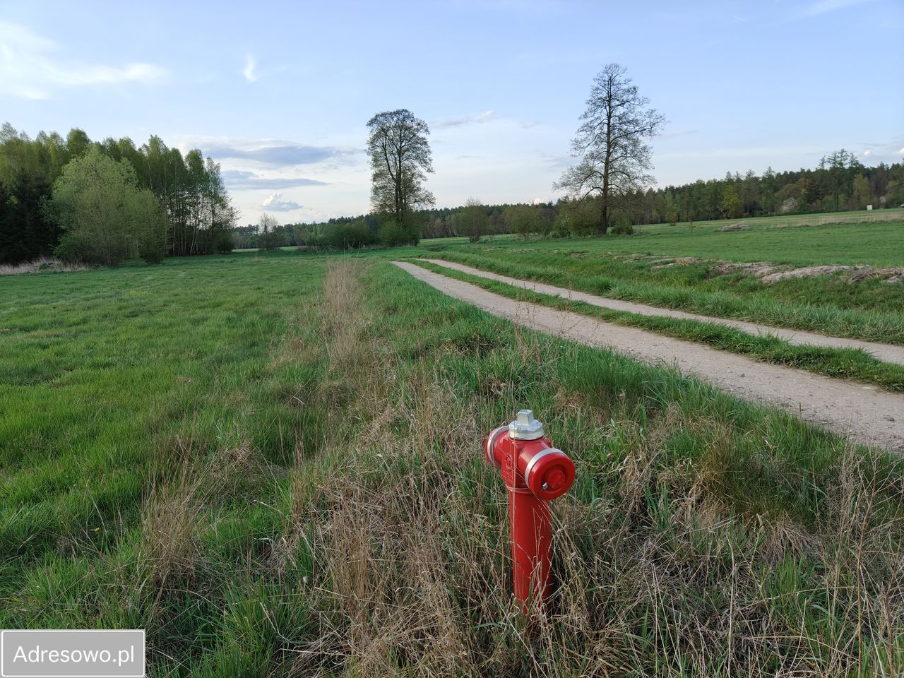 Działka rolno-budowlana Nagoszewka Pierwsza. Zdjęcie 9