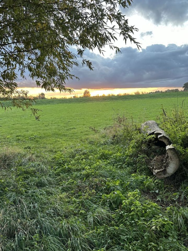 gospodarstwo Markusy. Zdjęcie 3