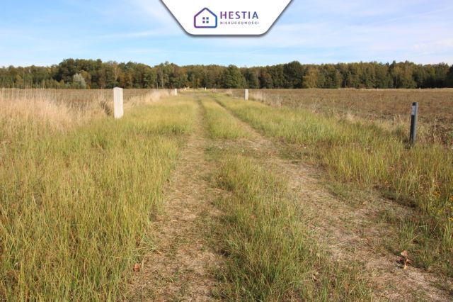 Działka budowlana Grzepnica. Zdjęcie 1