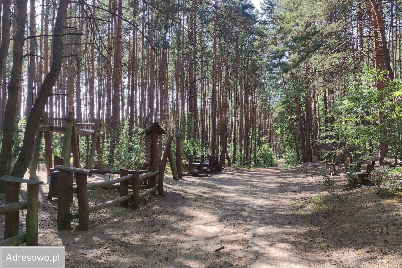 Działka Warszawa Białołęka, ul. Rajgrasowa. Zdjęcie 2