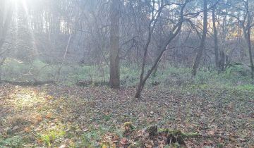 Działka leśna Zawady
