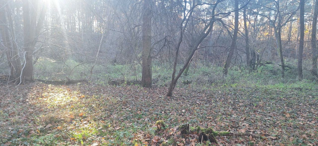 Działka leśna Zawady