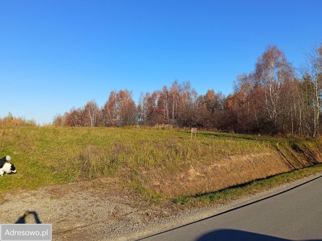 Działka budowlana Malawa. Zdjęcie 1