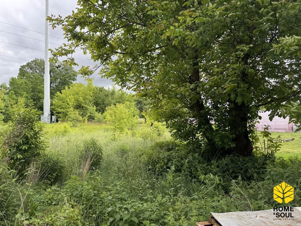 Działka budowlana Michałów-Reginów. Zdjęcie 2