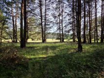 Działka rolna Szczecin Wielgowo. Zdjęcie 4
