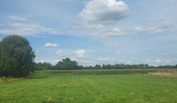 Działka budowlana Ręków, ul. Nasławicka