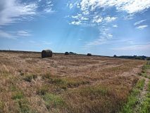 Działka rolno-budowlana Jezioro. Zdjęcie 4