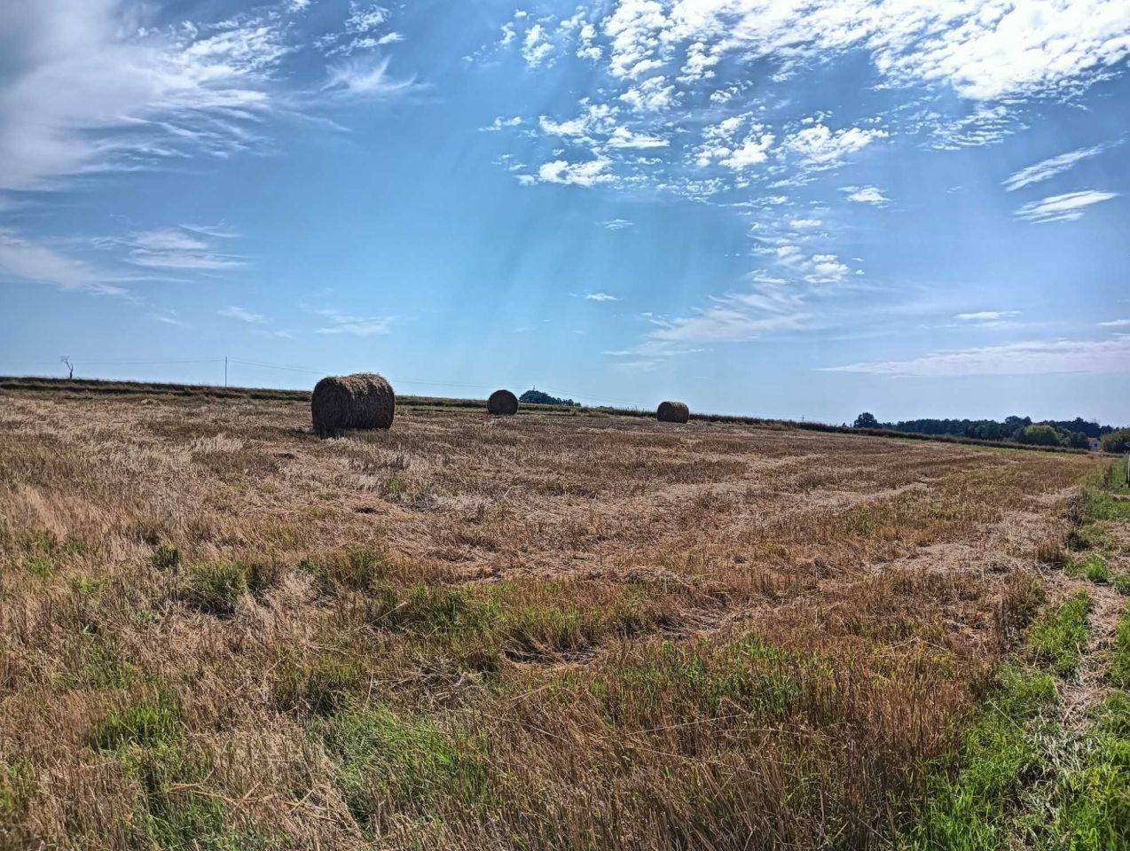 Działka rolno-budowlana Jezioro. Zdjęcie 5