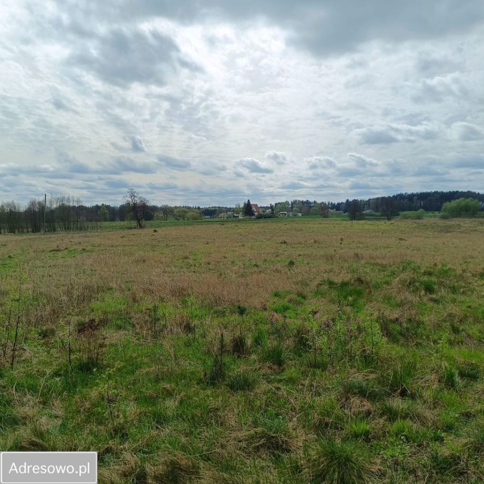 Działka rolno-budowlana Jabłowo. Zdjęcie 4