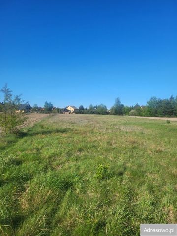 Działka rolna Orchówek, ul. Szkolna. Zdjęcie 1