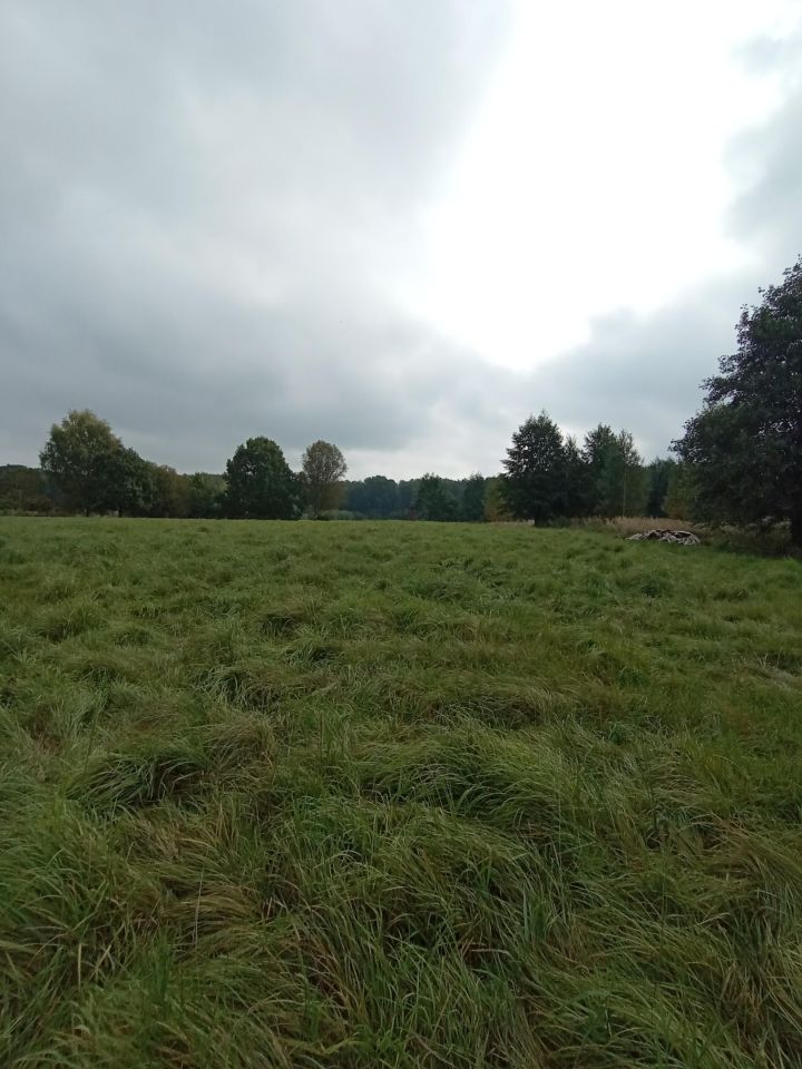 Działka inna Żory Baranowice, ul. Pukowca. Zdjęcie 3