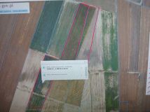 Działka rolna Naborowo. Zdjęcie 3