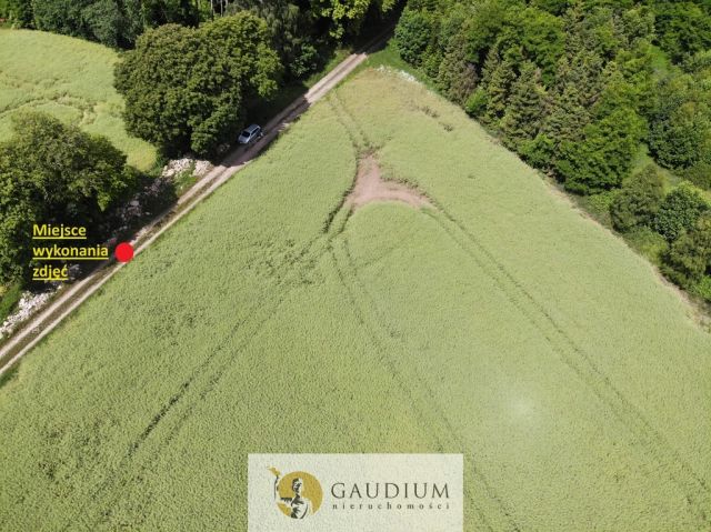 Działka Borkowo Lęborskie. Zdjęcie 6