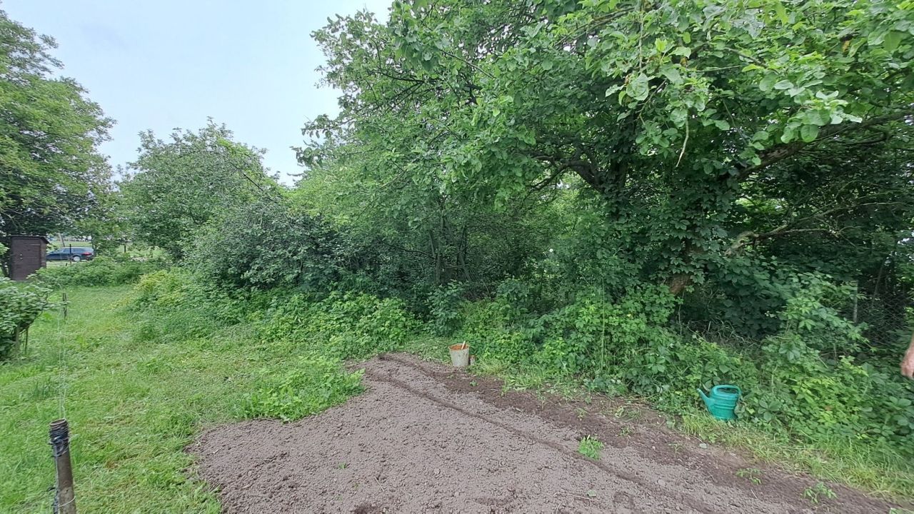 Działka rod Ciechanów. Zdjęcie 8