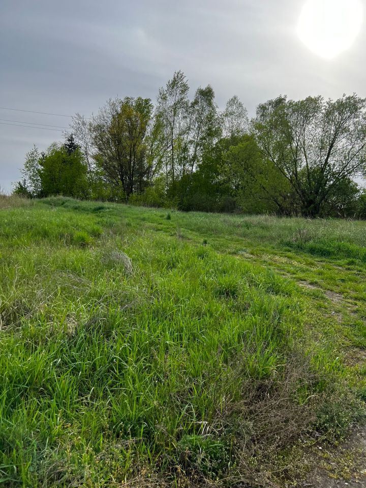 Działka rolna Kolsko, Kolsko. Zdjęcie 12