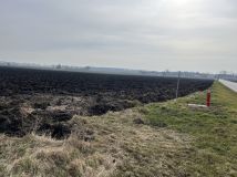 Działka budowlana Wierzbice. Zdjęcie 4