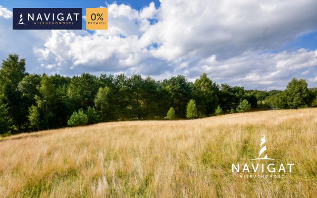 dom wolnostojący, 10 pokoi Klonowo Górne. Zdjęcie 11