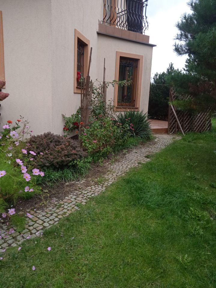 dom wolnostojący, 6 pokoi Wadąg, ul. Jana Kochanowskiego