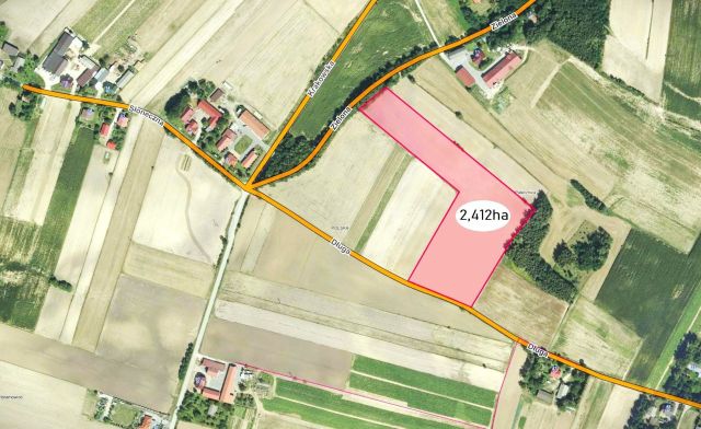 Działka rolna Pałecznica. Zdjęcie 1