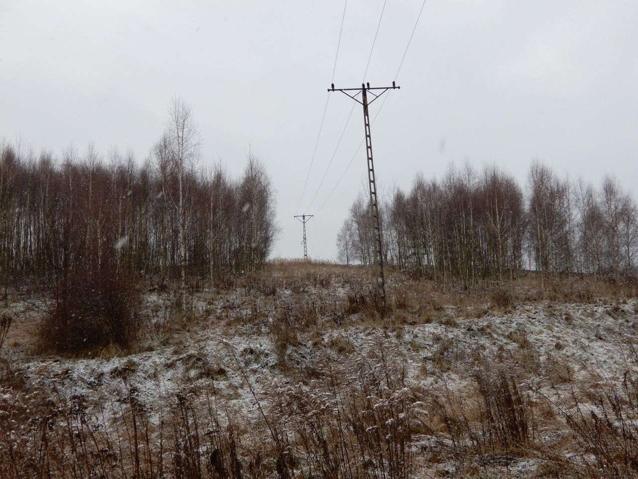 Działka rolna Pławna Dolna. Zdjęcie 4