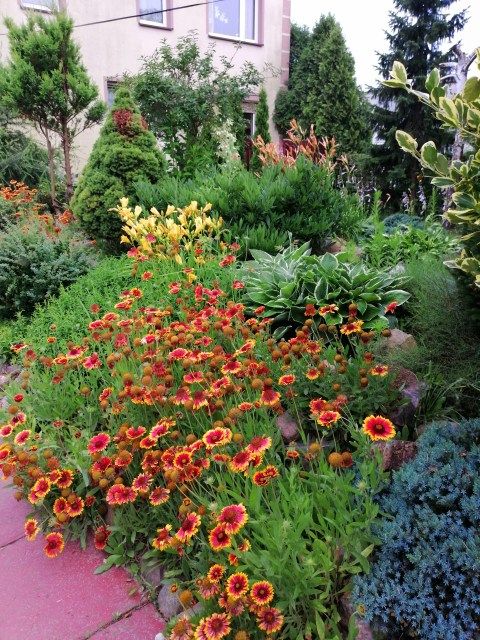 dom wolnostojący, 5 pokoi Trębaczew, ul. Sikorskiego. Zdjęcie 8