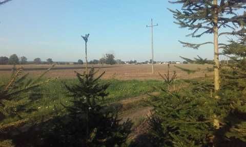 Działka budowlana Miłkowo. Zdjęcie 2