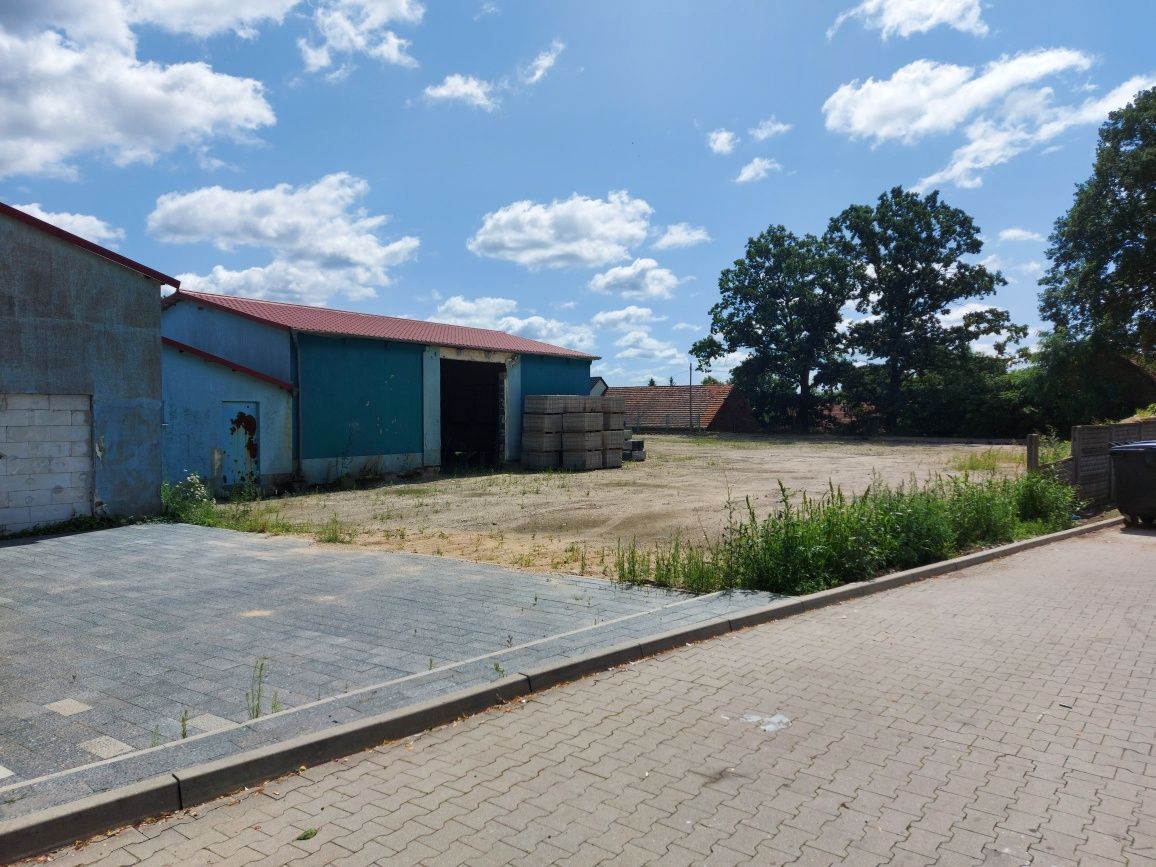 Działka inwestycyjna Leśniów Wielki. Zdjęcie 6