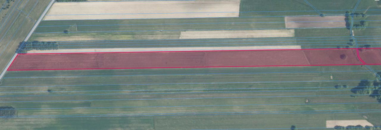 Działka rolno-budowlana Kisielsk. Zdjęcie 11