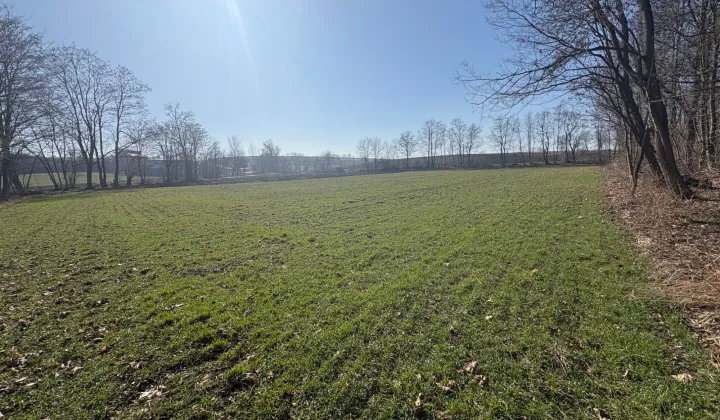 Działka rolno-budowlana Pierocice