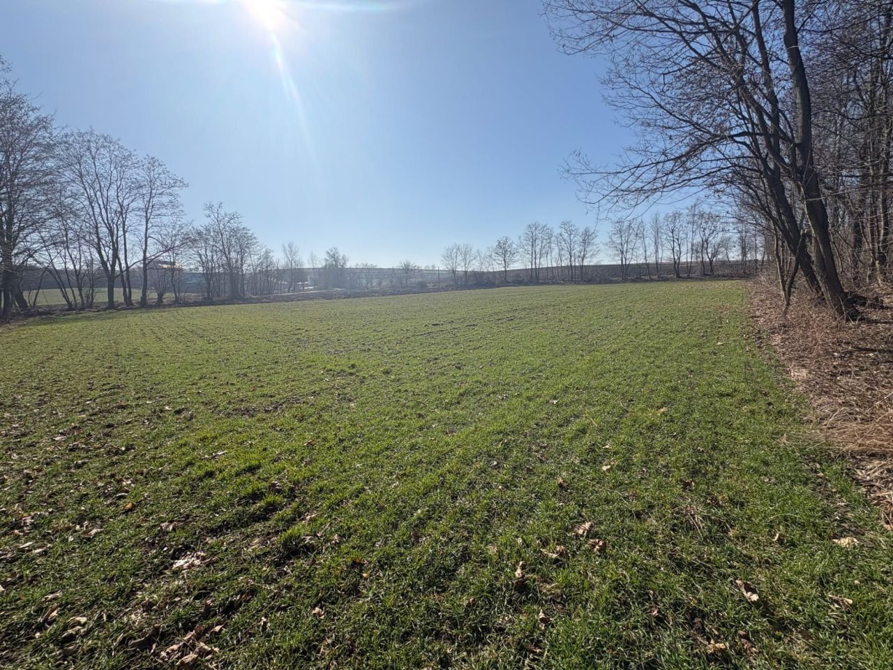 Działka rolno-budowlana Pierocice. Zdjęcie 1