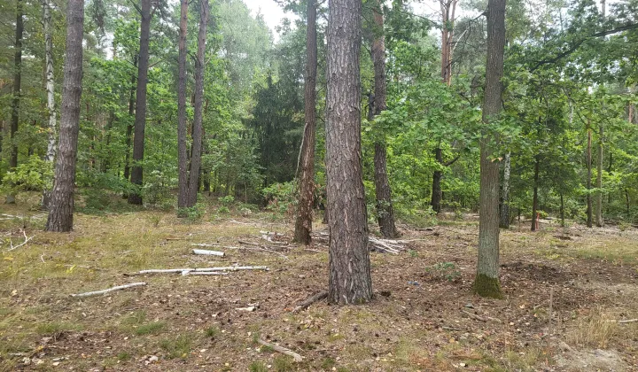 Działka budowlana Sulejówek, ul. Mariańska