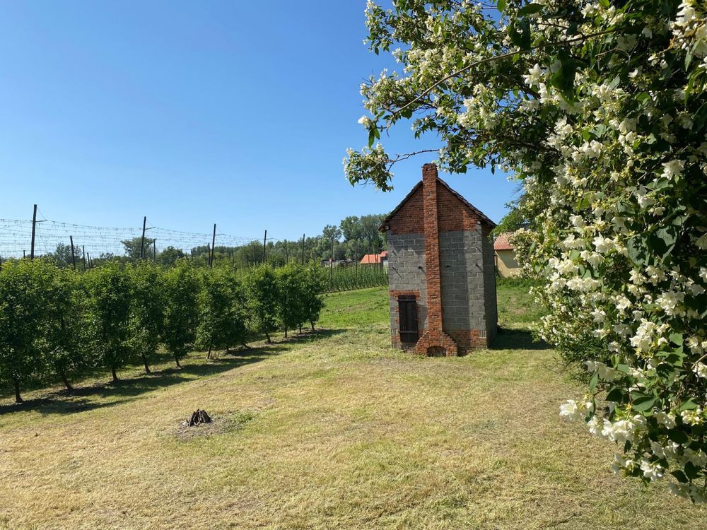 dom wolnostojący Zastów Polanowski. Zdjęcie 8