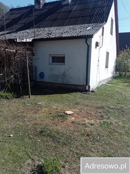 bliźniak Sosnowica. Zdjęcie 7