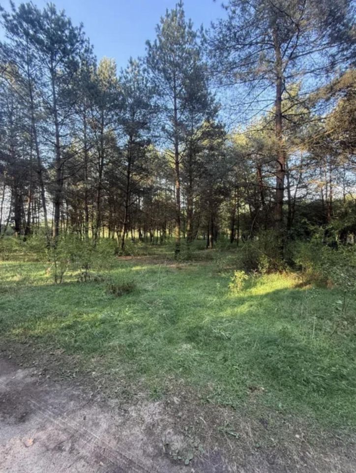 Działka budowlana Nekielka, ul. Strusia. Zdjęcie 5