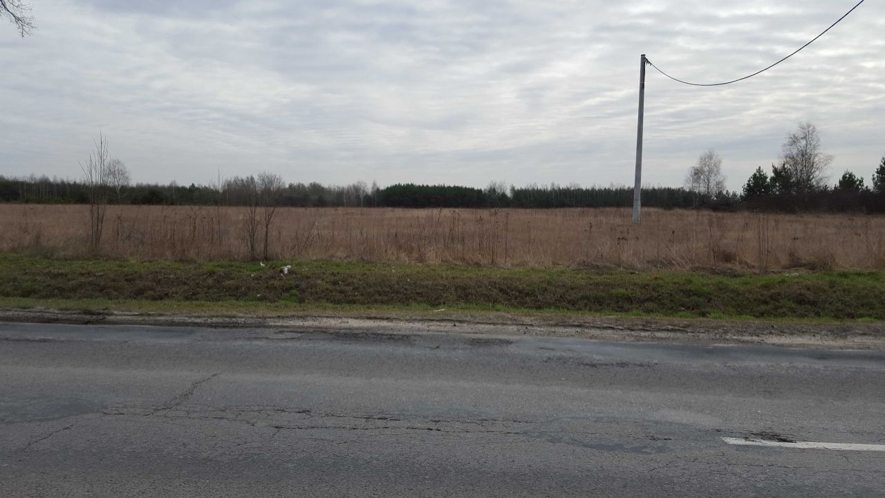 Działka budowlana Bogoria, ul. Staszowska. Zdjęcie 4