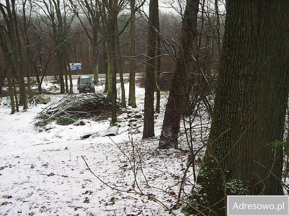Działka Kuźnica. Zdjęcie 4