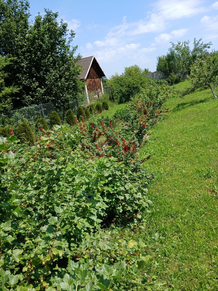Działka rolno-budowlana Jaworzno Ciężkowice, ul. 29 Listopada. Zdjęcie 14