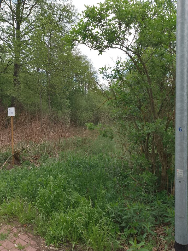 Działka rekreacyjna Adamówek, ul. Pańska. Zdjęcie 14