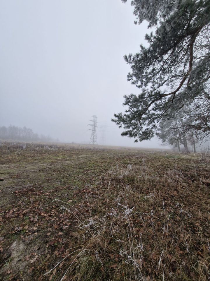 Działka rolna Morzyczyn, ul. Bolesława Chrobrego. Zdjęcie 7