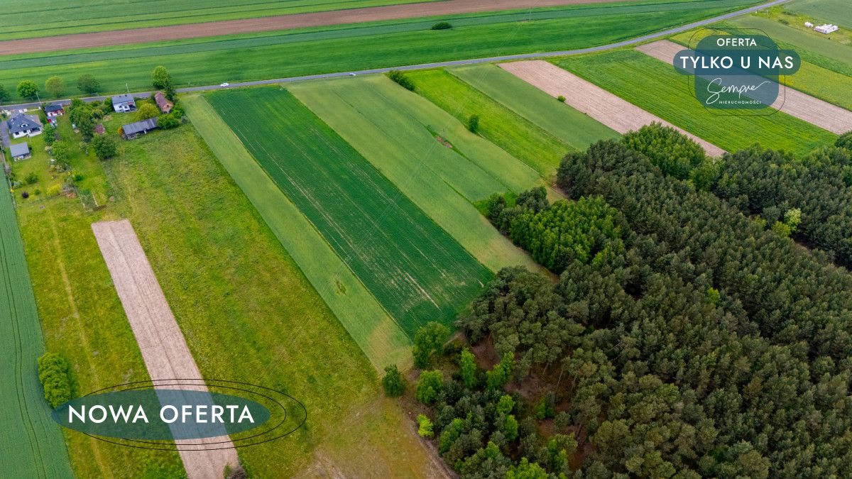 Działka rolna Górki Grabińskie. Zdjęcie 8