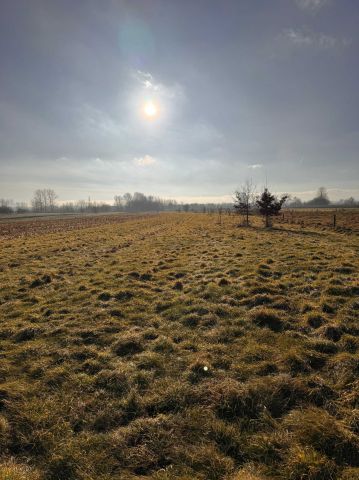 Działka inwestycyjna Czarna. Zdjęcie 1