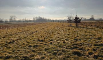 Działka inwestycyjna Czarna