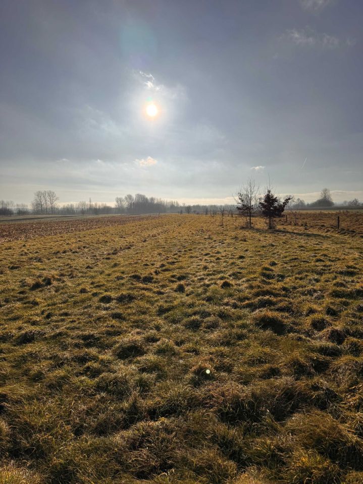 Działka inwestycyjna Czarna