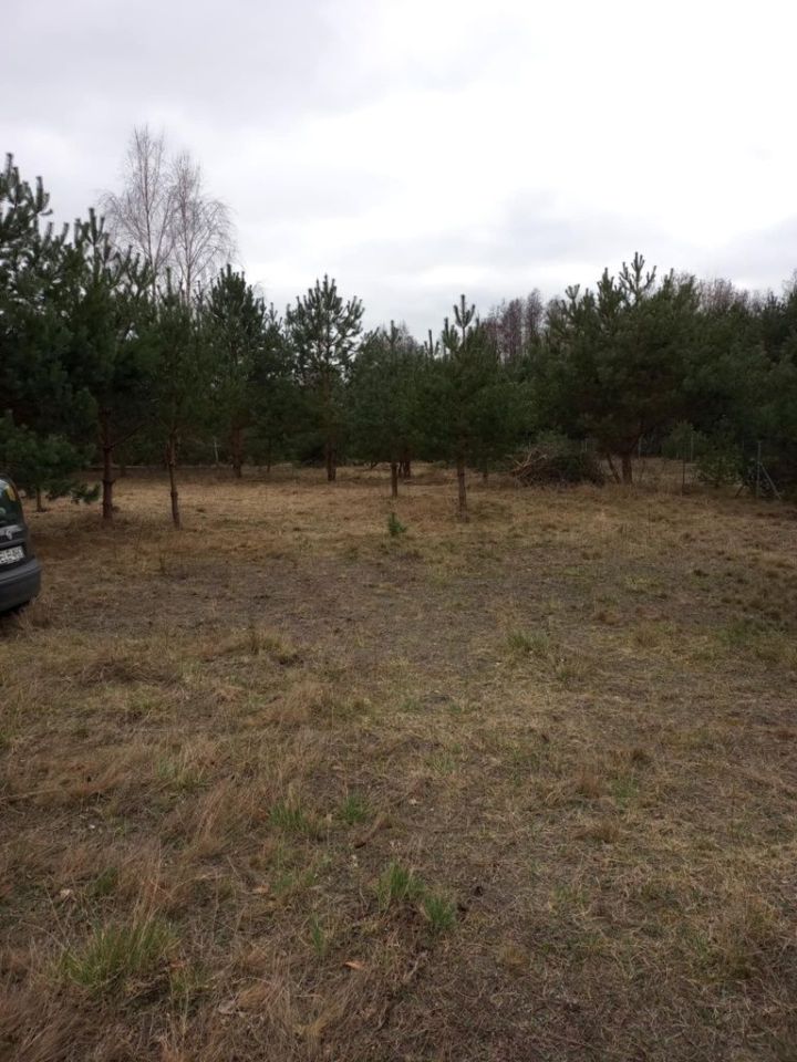 Działka budowlana Zdziechów. Zdjęcie 4