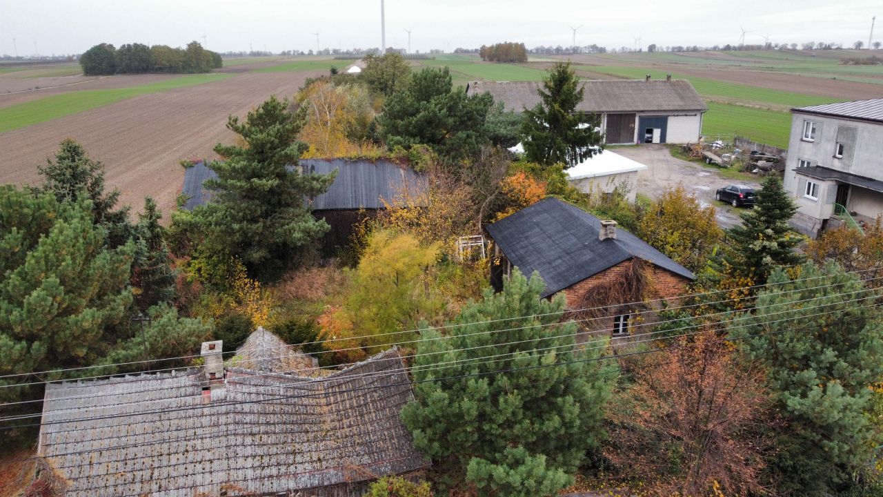 Działka rolno-budowlana Próchna. Zdjęcie 11