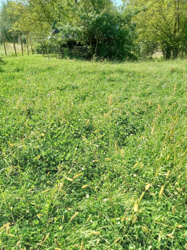 Działka budowlana Boguchwała. Zdjęcie 8