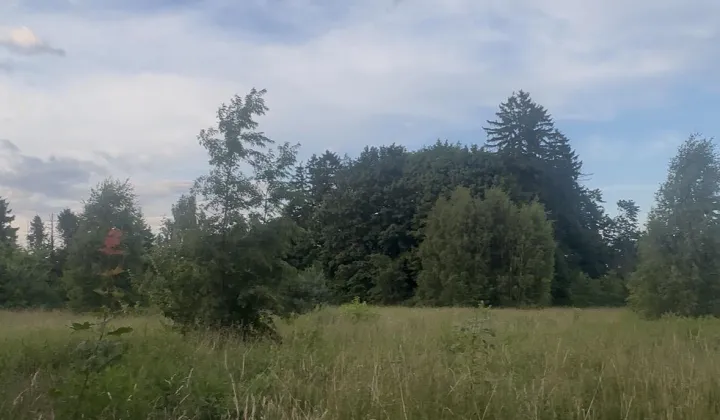 Działka rolno-budowlana Łosino, ul. Długa